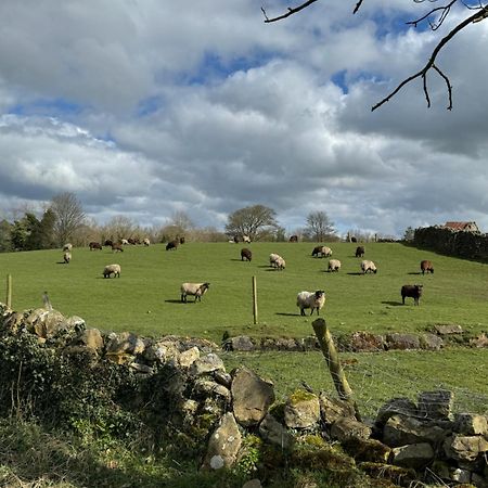 Chestnut Cottage Ravensworth Richmond  Buitenkant foto