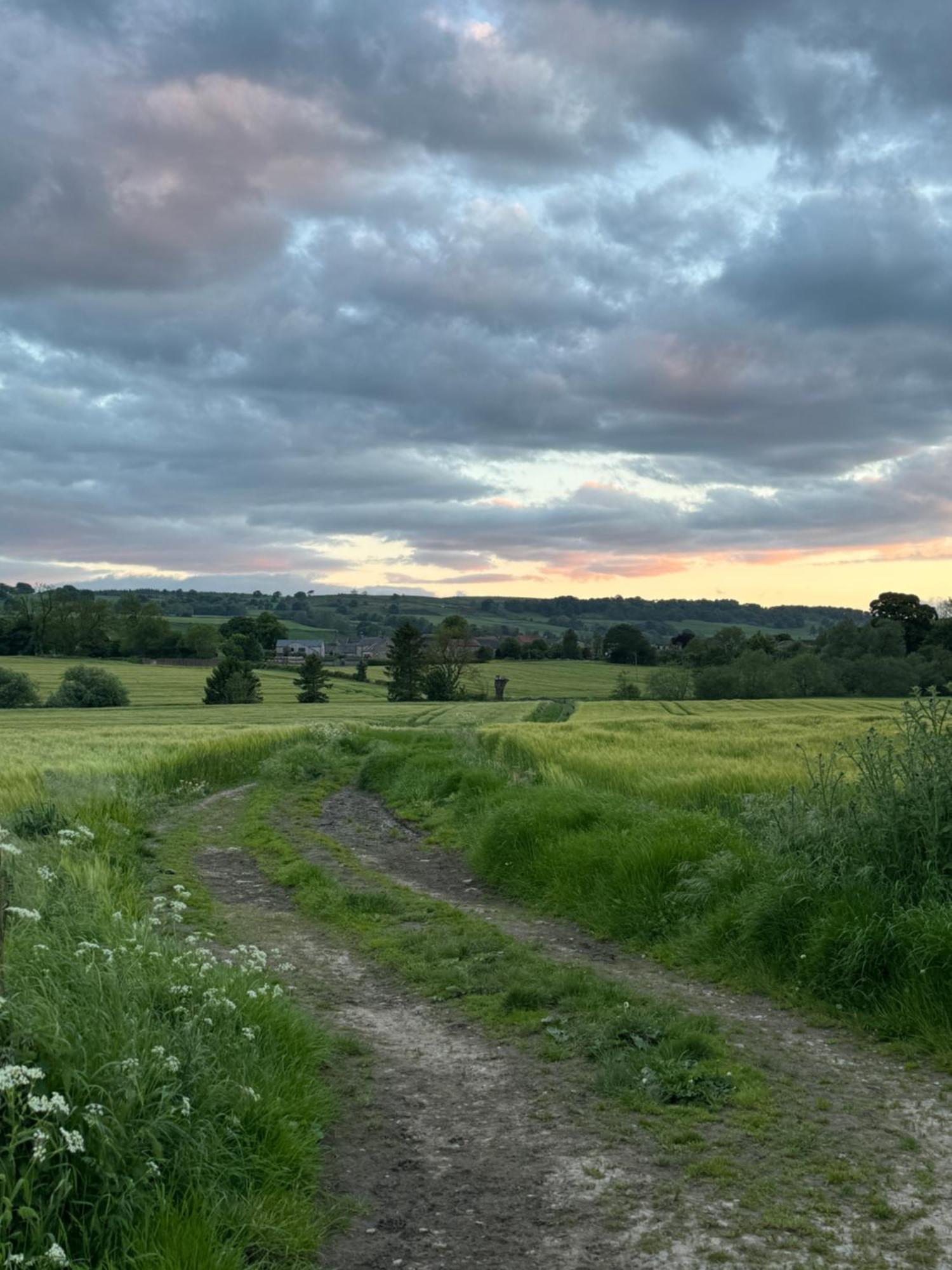 Chestnut Cottage Ravensworth Richmond  Buitenkant foto
